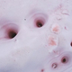Illustration for article titled What Creates These Bright Pink Streaks in the Snow?